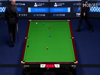2025斯诺克英格兰公开赛 卢卡·布雷切尔4-1吉米·怀特 20250913海报