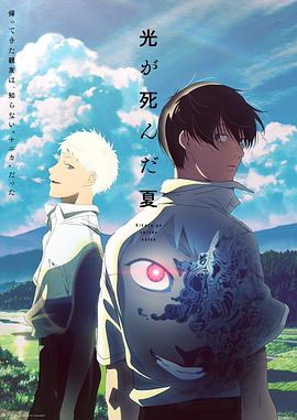 光逝去的夏天海报