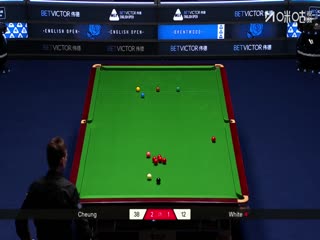 2025斯诺克英格兰公开赛 张家玮3-4吉米·怀特（柏林） 20250911海报