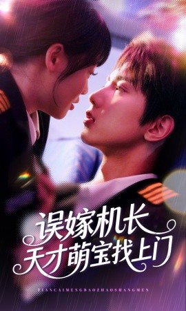 误嫁机长天才萌宝找上门海报