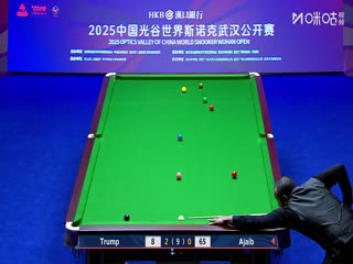 2025斯诺克武汉公开赛延期资格赛及64进32 贾德·特鲁姆普5-1法拉赫·阿贾布 20250824海报