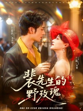 裴先生的野玫瑰海报