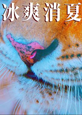 寒冰白血海报