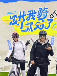 畊我骑就对了海报