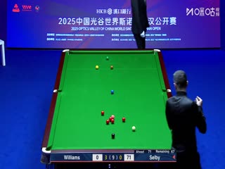 2025斯诺克武汉公开赛16进8 马克·威廉姆斯5-3马克·塞尔比 20250827海报