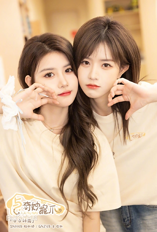 与奇妙握爪海报