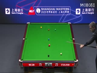 2025斯诺克上海大师赛四分之一决赛 凯伦·威尔逊6-3奥沙利文（蔡剑忠） 20250731海报