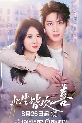 此生皆欢喜海报