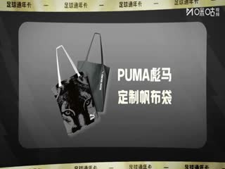 德甲联赛 圣保利VS多特蒙德 20250824海报