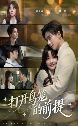 打开鸟笼的前提海报