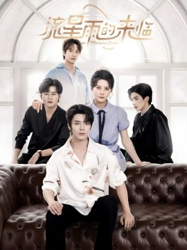 流星雨的来临海报