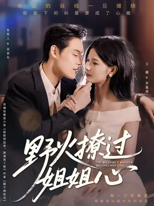野火撩过姐姐心海报