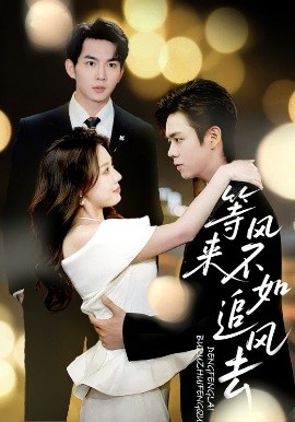 等风来不如追风去海报