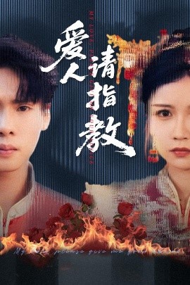 爱人请指教海报