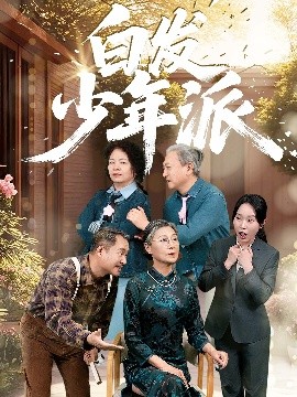 白发少年派海报