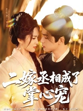 二嫁丞相成了掌心宠海报