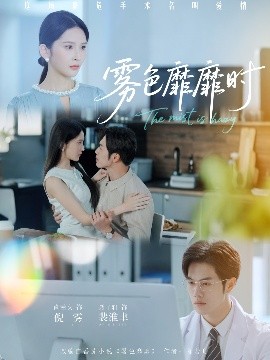 雾色靡靡时海报