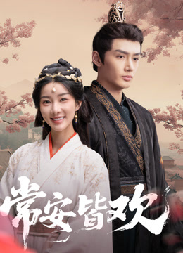 常安皆欢海报