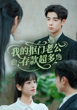 我的抠门老公存款超多海报