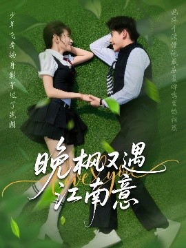 晚枫又遇江南意海报