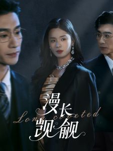 漫长觊觎海报