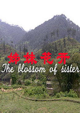 姊妹花开海报