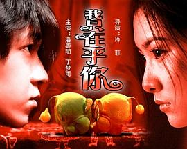 我只在乎你海报