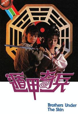 遁甲奇兵国语海报