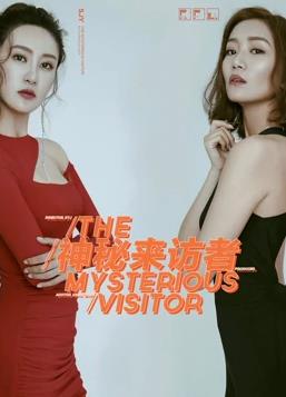 神秘来访者海报