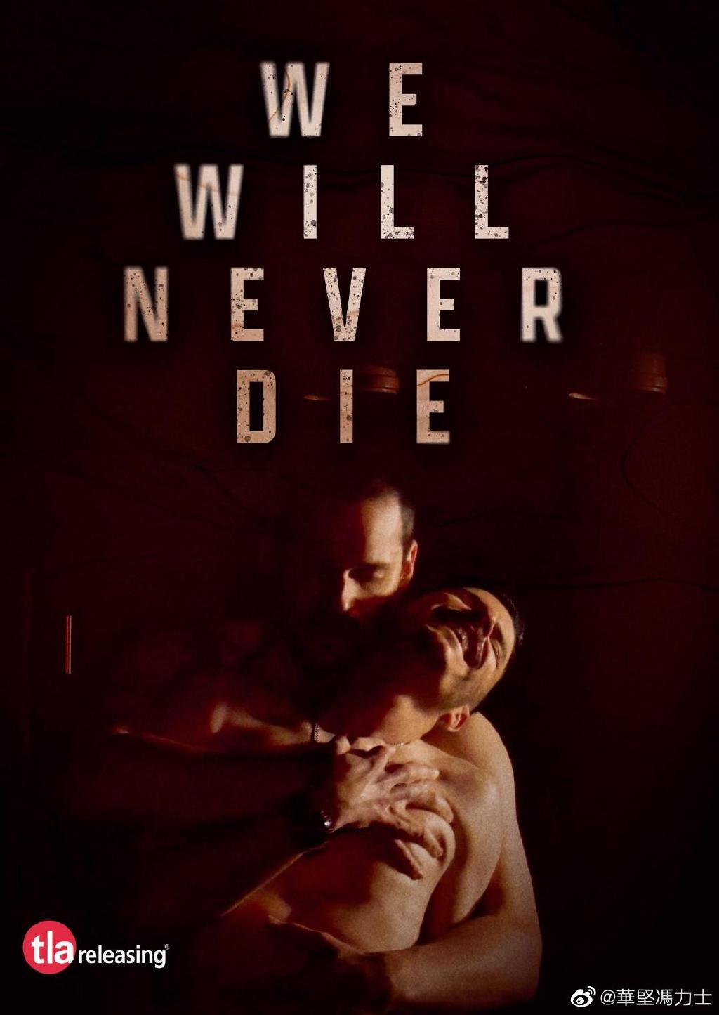 我们永不逝去海报