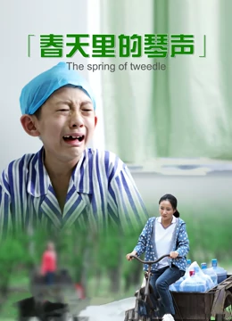 春天里的琴声海报
