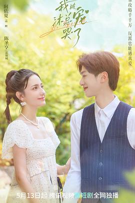 我被沐总宠哭了海报