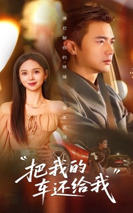 把我的车还给我海报