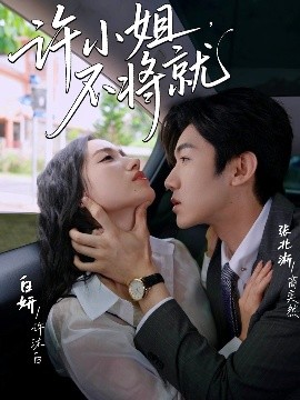 许小姐，不将就海报