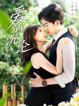 爱的沉沦海报