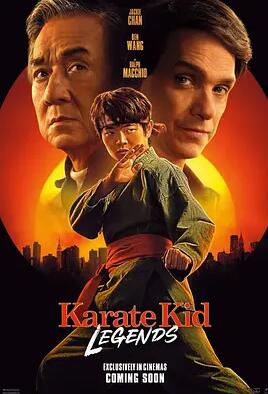 功夫梦：融合之道海报