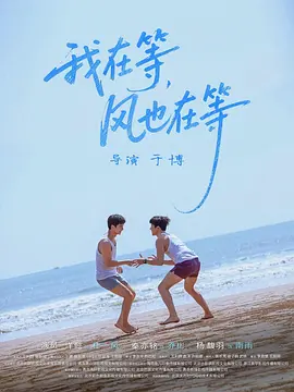 我在等，风也在等海报