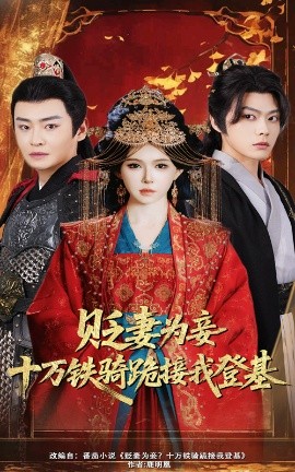 贬妻为妾？十万铁骑跪接我登基海报