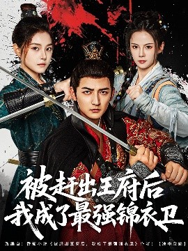 被赶出王府后我成了最强锦衣卫海报