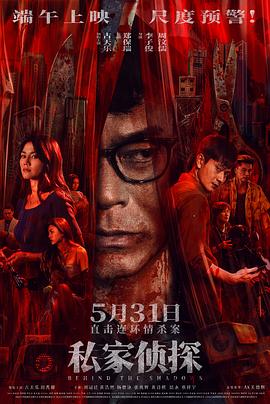私家侦探海报
