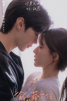 偷偷藏不住海报