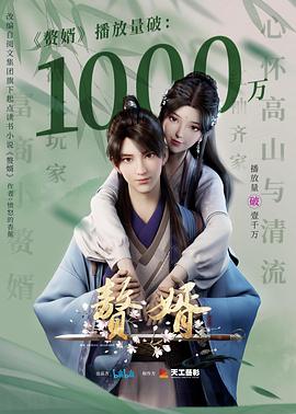 赘婿动画版海报