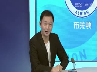 英超 布莱顿vs纽卡斯尔联20230903海报