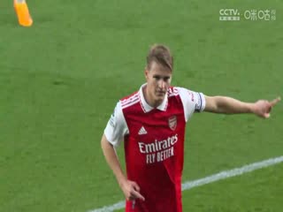 英超 布莱顿vs埃弗顿 (郭灿亮) 20230508海报