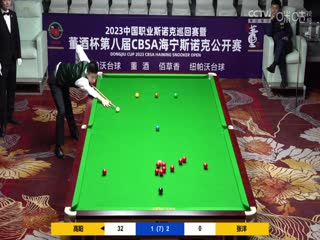 斯诺克 张洋3-4高阳 20230518海报