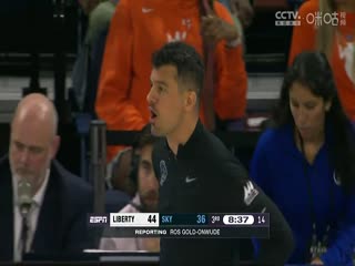 WNBA 洛杉矶火花vs华盛顿神秘人20230903海报