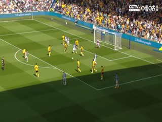 英超 布莱顿vs狼队 20230429（美杜莎）海报