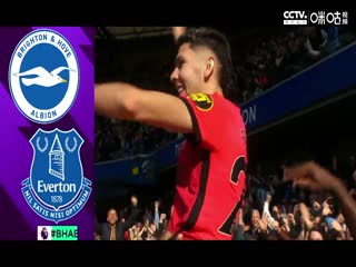 英超 布莱顿vs狼队 20230429（荆晓林）海报