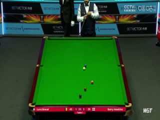 斯诺克 巴里·霍金斯5-4卢卡·布雷塞尔 20230825（李照）海报