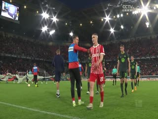 德甲 弗赖堡vs沃尔夫斯堡 20230519海报